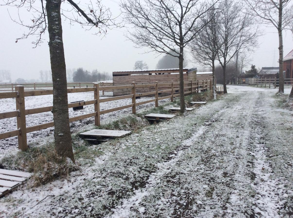 B&B Quarterhouse Moerkerke Bagian luar foto